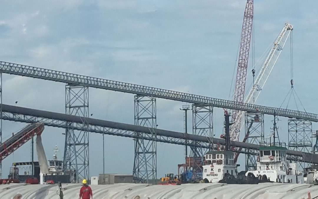 TGU Expansión Portuaria